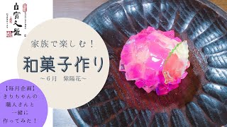 【家族で楽しむ和菓子作り】６月 紫陽花編＋作ってみた！