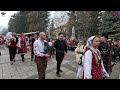 razlog new year carnival 4k