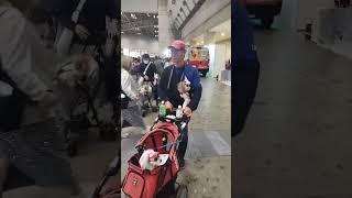 日本最大級のペットイベントでサングラスのワンちゃんが可愛すぎ 子犬侍こと鈴木さんの愛犬とインターペットに出現 2024-4-7 Interpets Asia Pacific, Tokyo, Japan