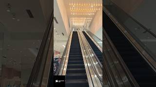Longest Escalator ❤️😱 #longest #escalator #ytshorts #youtubeshorts #shorts