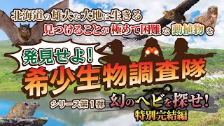 【北海道の動植物！！】希少生物調査隊 シリーズ第1弾 幻のヘビを探せ！ vol.4 ファイナル