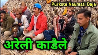 ARELI KADAILE | अरेली काडैले मलाई च्वास्स च्वास्स | Porkote Naumati Baja