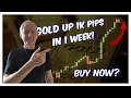 Gold Up 1K Pips in 1 Week