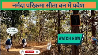 नर्मदा परिक्रमा सीता वन में प्रवेश, एक बार जरूर देखे#narmadaparikrma #narmadehar #sita #jungle