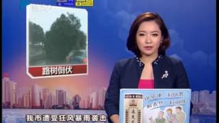 【潮汕台风海马】汕头今日视线   记者直击：部分路树倒伏 2016-10-21