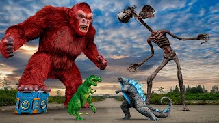 Most Dramatic T-rex Attack | Kong Vs T-rex, Siren Head | Jurassic Park Rebirth Fan-Made |Teddy Chase