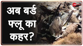 Bird Flu: देश के कई राज्यों में बर्ड फ्लू का खतरा बढ़ा | Bird Flu | Symptoms | Treatment | Covid-19