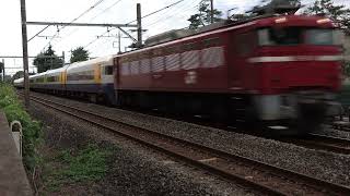 EF81 134＋255系マリBe 05廃車牽引