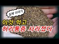 이것 먹으면 허리통증 무릎통증 사라지고 남녀의 성기능이 좋아진다[약초방송]