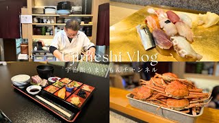 【宇治飯vlog#80】 本格寿司店のコスパ良ランチ / 京都ランチ / 宇治ランチ / 京都vlog / 京都宇治 / 宇治観光 / カウンター寿司 / sushilunch / ujicity