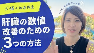 【獣医師が解説】上がった肝臓の数値、薬もサプリも効かないときに試したい３つの方法