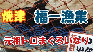 焼津の福一漁業「元祖トロまぐろいなり」