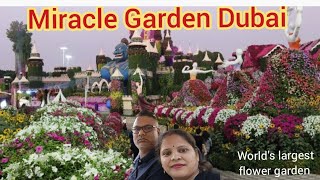 miracle garden dubai|Miracle garden 2024|places to visit in dubai|dubai walking tour|dubai vlog