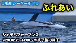 《鴨川シーワールド》シャチパフォーマンス2020.02.23  14:00〜の終了後の様子