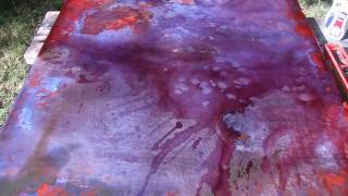 Watching Paint Dry -- Timelapse