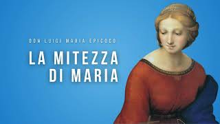 Don Luigi Maria Epicoco - La mitezza di Maria