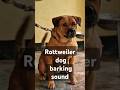 Rottweiler dog barking sound #shorts #viralvideo #dailyshorts #viralshort #trending #pets