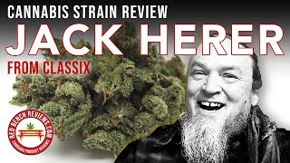 Classix |  Jack Herer Strain Review | 21.98% THC!