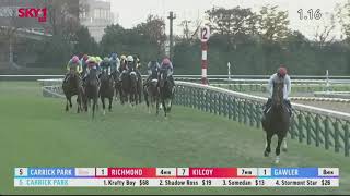 2020 Japan Cup - Tokyo - Almond Eye (G1)