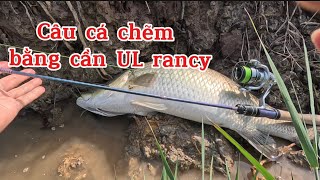 Câu Cá Chẽm Bằng Cần UL Rancy Khoen Fusi Đồ Câu Đại Ngáo