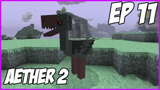 [Minecraft] Aether II ep.11 - Černí ptáci!