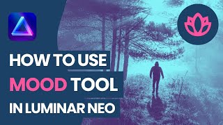 Luminar NEO: How to use the Mood Tool (LUTs)