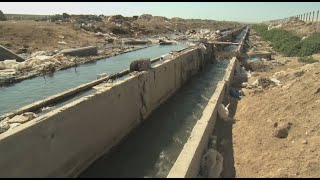 Жители Актау жалуются на неприятный запах в городе