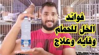 فوائد الخل للحمام والطيور علاج ووقايه من امراض كتير جدا