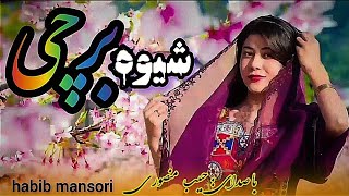 «شیوه برچی» آهنگ جدید هزارگی افغانی از حبیب منصوری now afghani hazaragi song by habib mansori 🇦🇫🎻🥰