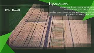 Дещо про Інститут сільського господарства Степу Національної академії аграрних наук України