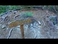 hike the suicide rock trail idyllwild