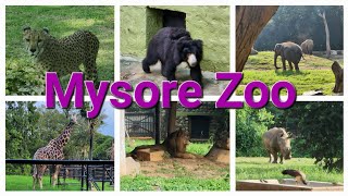 Mysore Zoo|| Places to visit in Mysore|| Animals and Birds tour || Most visited Zoo in India || vlog