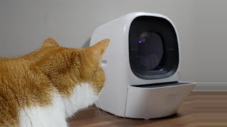 【驚愕】猫砂の補充も除菌も全自動！？リアルスクーパープロ徹底レビュー！