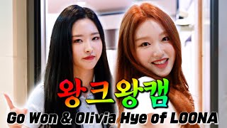 (ENG) [4K] 💗the Bigger the Better Cam💗 LOONA Go Won🦋 (Feat. Olivia Hye🐺) Flip that #tBtB