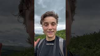 Why I hate Bracken #environment #biology #ecology