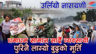 यस्तो देखियो उर्लिएको नारायणी नदी | Naryani River Flood