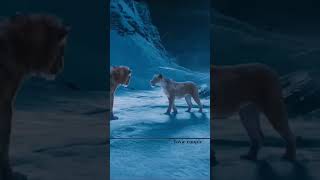 Mufasa The Lion King | Do You Believe Take Deserves To be King 👑 or Mufasa ? #foryou #shorts