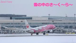 【高画質録画】雪が降る新千歳空港から「さくらジンベエジェット」が飛び立つ！