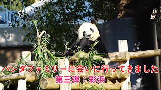 彩浜、食に夢中！