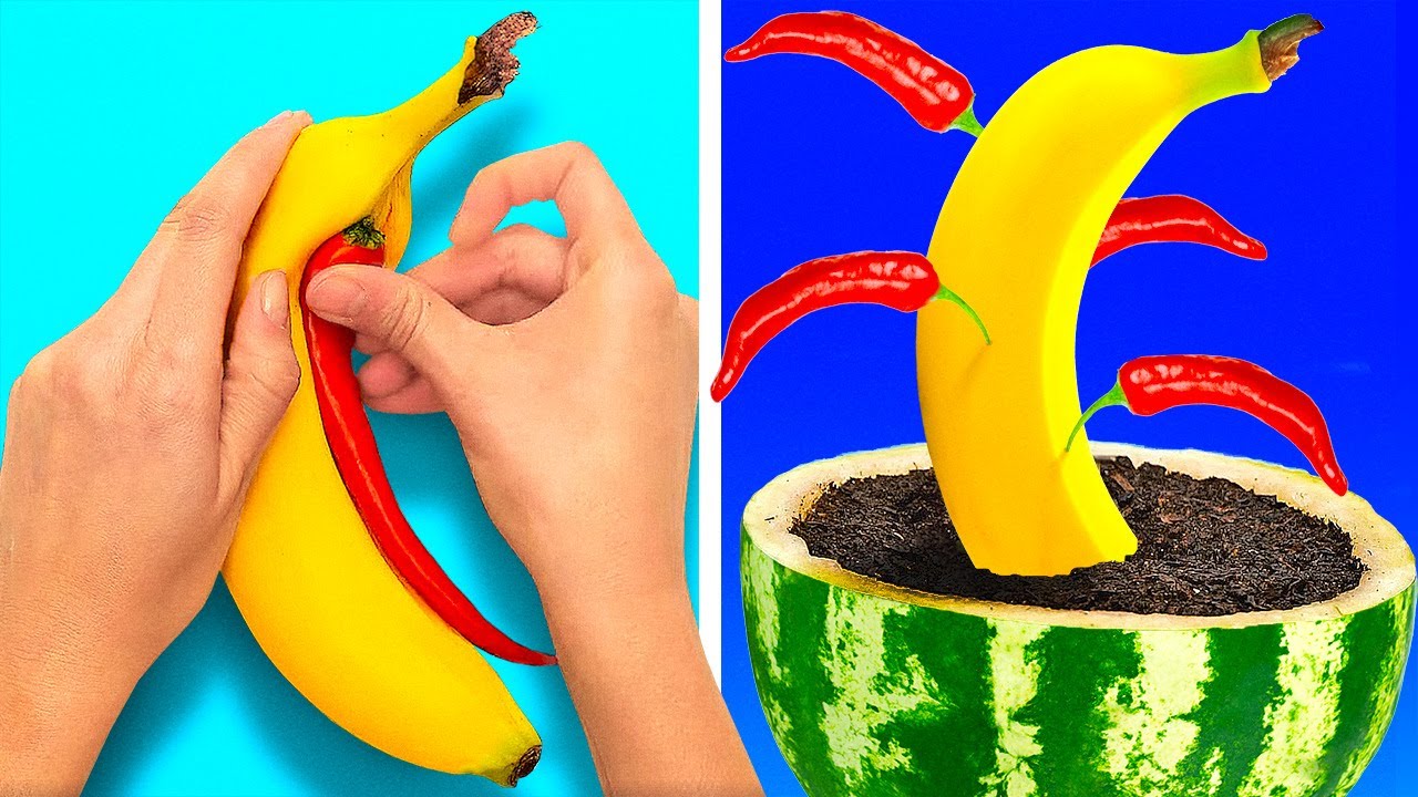 32 Gardening Hacks For Those Who Love Plants Youtube