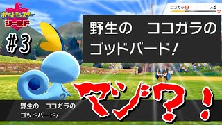 【最速】野生のLV.6ポケが繰り出すゴッドバード！？【ポケモン剣盾#3】