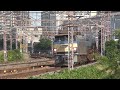 jr貨物　荷が軽い ef66 36牽引8865レ　2012 11 04