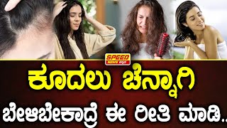 Speed Life Style : ಕೂದಲು ಚೆನ್ನಾಗಿ ಬೇಳಿಬೇಕಾದ್ರೆ ಈ ರೀತಿ ಮಾಡಿ...| Hair Fall | SNK