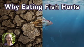 Why Eating Fish Hurts: The Planet, Your Health, And Living Beings - Hope Bohanec