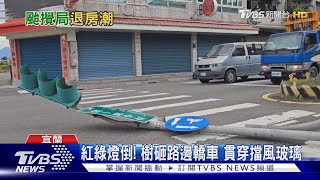 紅綠燈倒! 樹砸路邊轎車 貫穿擋風玻璃｜TVBS新聞 @TVBSNEWS01