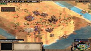 Zoomancer Farming for BiS Monkey + Maybe some AoE2 Later