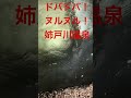 湯船がドーンとあり、滝のように注ぐ温泉。色はウグイス色。入浴。ぬ、ぬるい。ここも床が滑りやすく、肌がヌルヌルになる。やはり白い油膜が漂っていた。メタケイ酸はこちらも高い。 温泉 秘湯 美人の湯