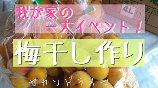 我が家の超簡単、適当梅干し作り