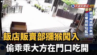 飯店販賣部被獼猴闖入　偷乖乖大方在門口吃開－民視新聞