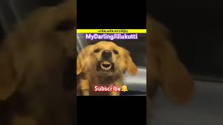 # பாக்க வச்சு சாப்பிடுறியே #cuteanimals#funnyvideo#cuteput#😂#